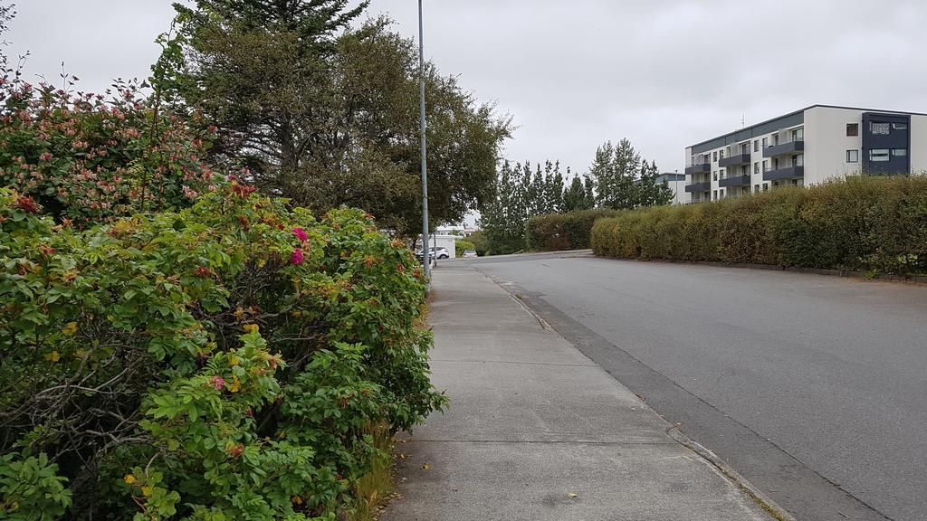 Privat overnatting Jodemm Homestay Reykjavík